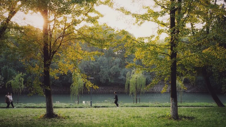 Runner on a riverside path in a sunlit park