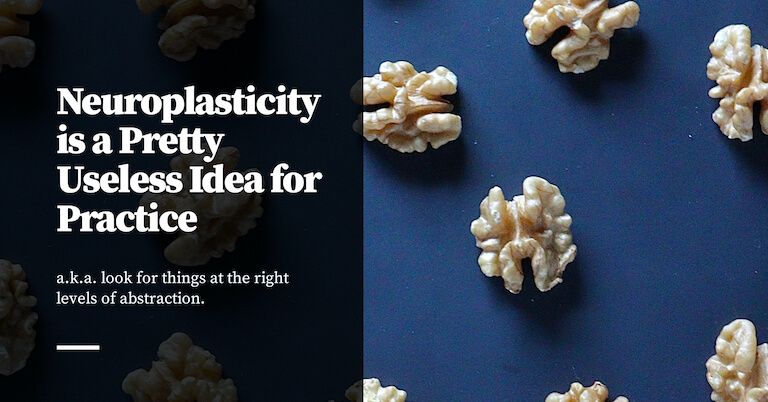 Feature image for Neuroplasticity is a Pretty Useless Idea for Practice