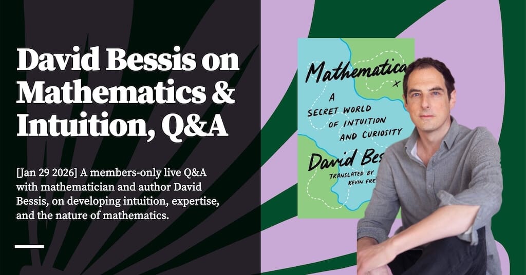 Feature image for David Bessis Q&A on Mathematics & Intuition