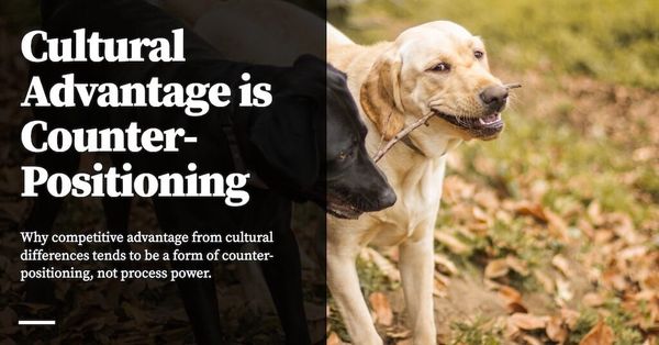 Feature image for Cultural Advantage is Counter Positioning