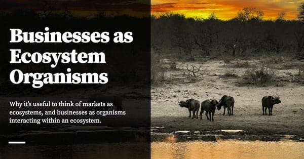 Feature image for Businesses as Ecosystem Organisms