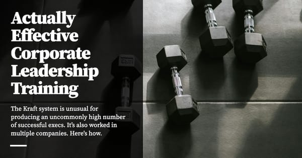 Feature image for Actually Effective Corporate Leadership Training