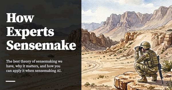 Feature image for How Experts Sensemake