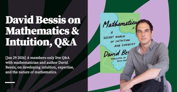 Feature image for David Bessis Q&A on Mathematics & Intuition
