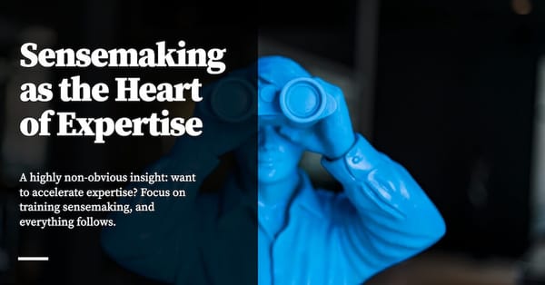 Feature image for Sensemaking as the Heart of Expertise